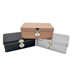 Wholesale Custom Logo Silver Rectangular Storage Tinplate Can Gift Packaging Metal Hinged Tin Box with Lock