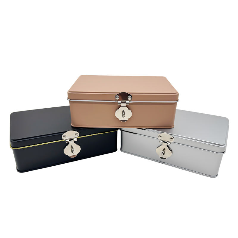 Wholesale Custom Logo Silver Rectangular Storage Tinplate Can Gift Packaging Metal Hinged Tin Box with Lock
